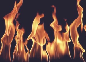 Survival of the Revival (Revisited)