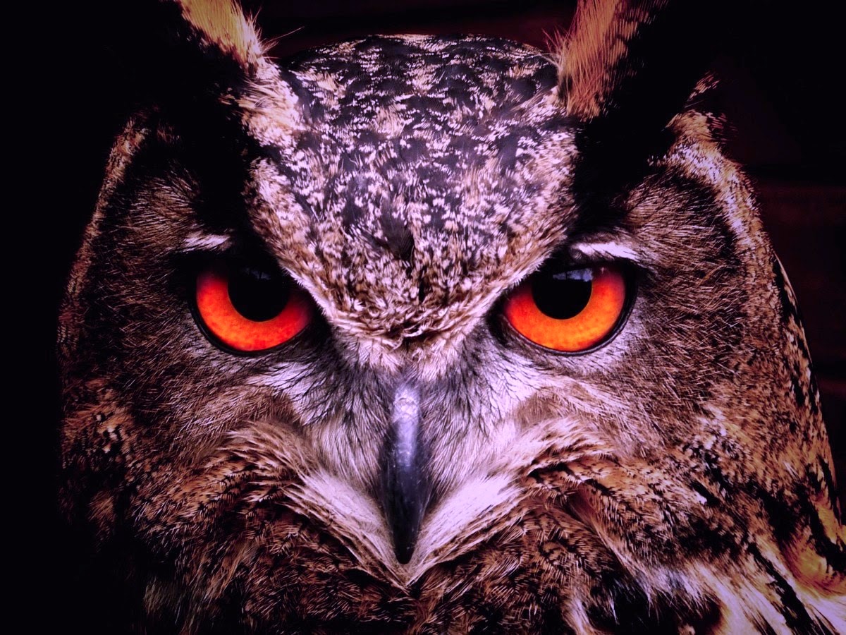 Who Am I? Who Are You?